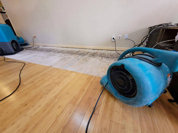 Professional Basement Flood Cleanup technician working in Nicholson, MS